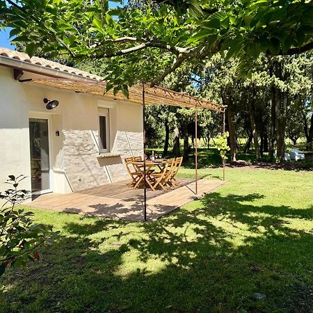 Maisonnette Avec Petite Foret Valréas Εξωτερικό φωτογραφία
