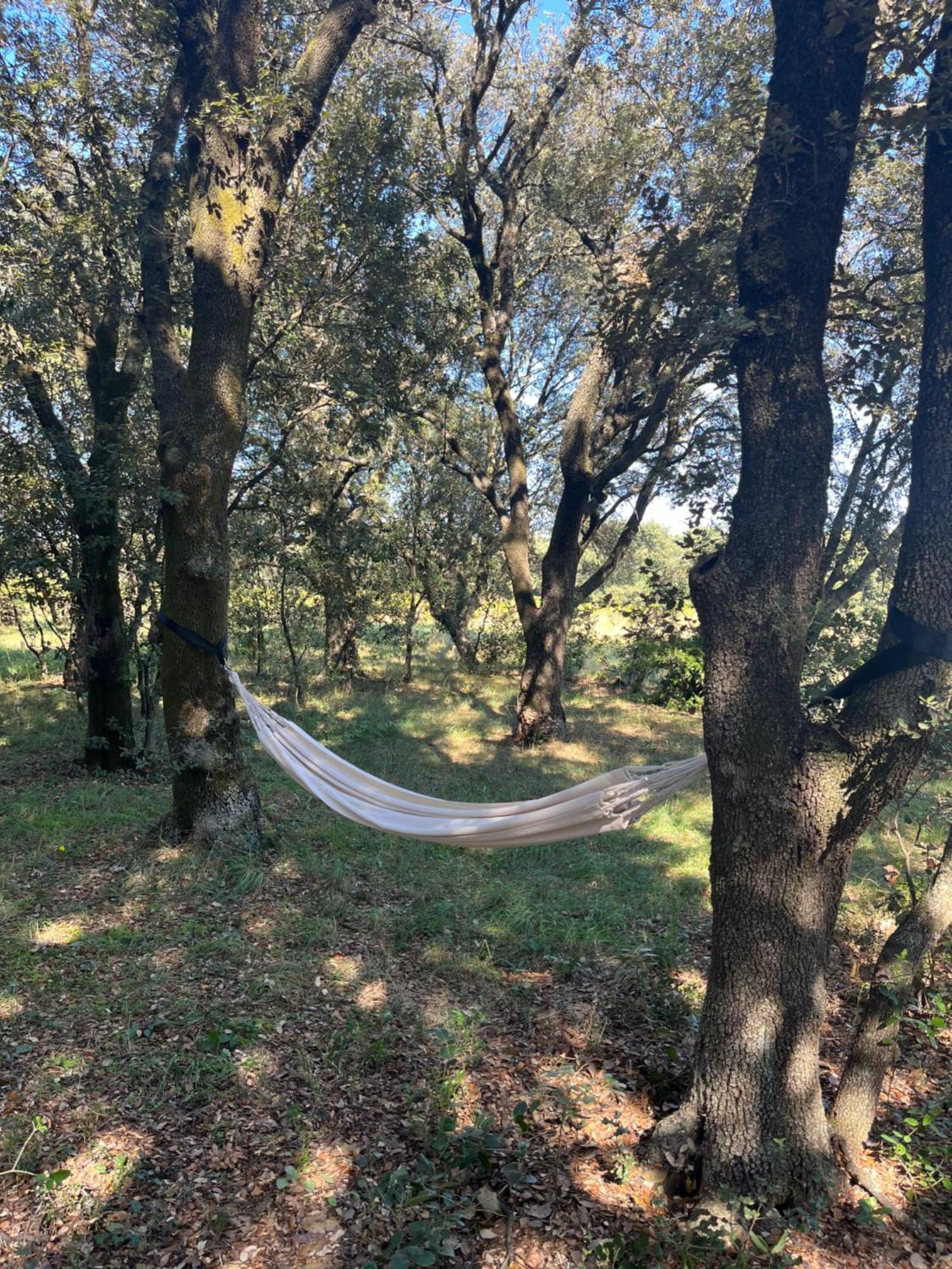 Maisonnette Avec Petite Foret Valréas Εξωτερικό φωτογραφία